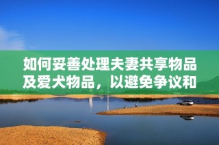 如何妥善处理夫妻共享物品及爱犬物品，以避免争议和照顾宠物的有效建议