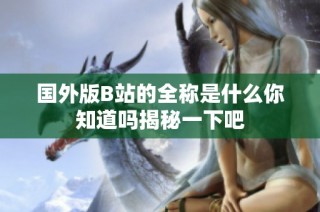 国外版B站的全称是什么你知道吗揭秘一下吧