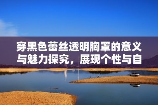 穿黑色蕾丝透明胸罩的意义与魅力探究，展现个性与自信的时尚选择