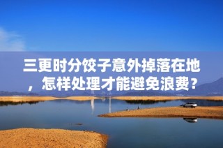 三更时分饺子意外掉落在地，怎样处理才能避免浪费？