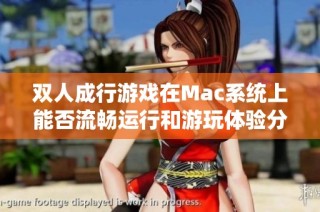 双人成行游戏在Mac系统上能否流畅运行和游玩体验分析