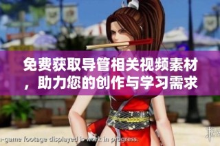 免费获取导管相关视频素材，助力您的创作与学习需求