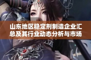 山东地区稳定剂制造企业汇总及其行业动态分析与市场前景探讨