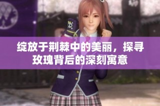 绽放于荆棘中的美丽，探寻玫瑰背后的深刻寓意