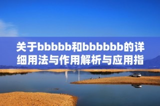 关于bbbbb和bbbbbb的详细用法与作用解析与应用指南