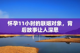 怀孕11小时的联姻对象，背后故事让人深思