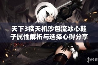 天下3疾天机沙包流冰心鞋子属性解析与选择心得分享