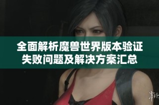 全面解析魔兽世界版本验证失败问题及解决方案汇总