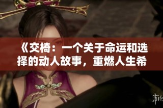 《交椅：一个关于命运和选择的动人故事，重燃人生希望之光》