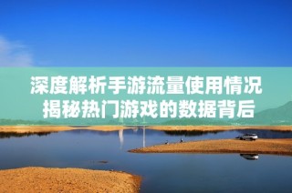 深度解析手游流量使用情况 揭秘热门游戏的数据背后真相