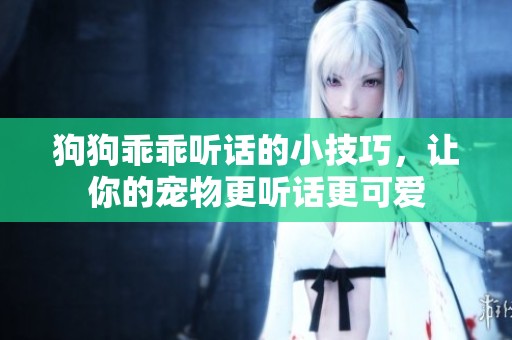 狗狗乖乖听话的小技巧，让你的宠物更听话更可爱