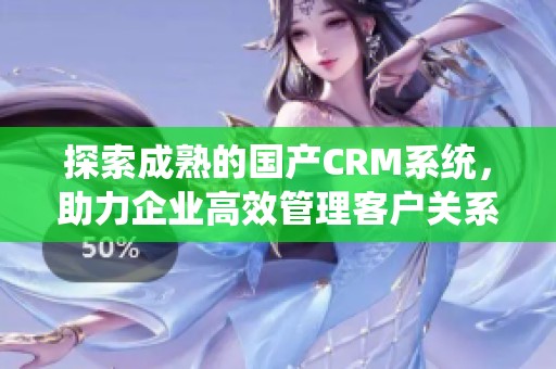 探索成熟的国产CRM系统，助力企业高效管理客户关系