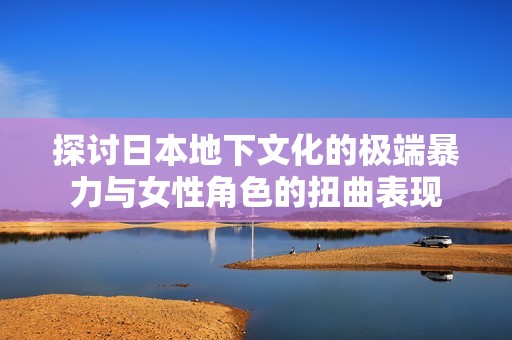探讨日本地下文化的极端暴力与女性角色的扭曲表现