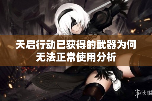 天启行动已获得的武器为何无法正常使用分析
