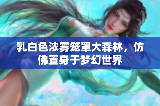 乳白色浓雾笼罩大森林，仿佛置身于梦幻世界