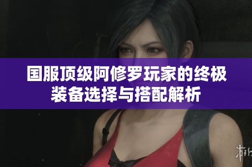 国服顶级阿修罗玩家的终极装备选择与搭配解析