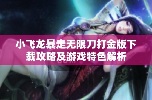 小飞龙暴走无限刀打金版下载攻略及游戏特色解析