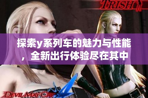 探索y系列车的魅力与性能，全新出行体验尽在其中