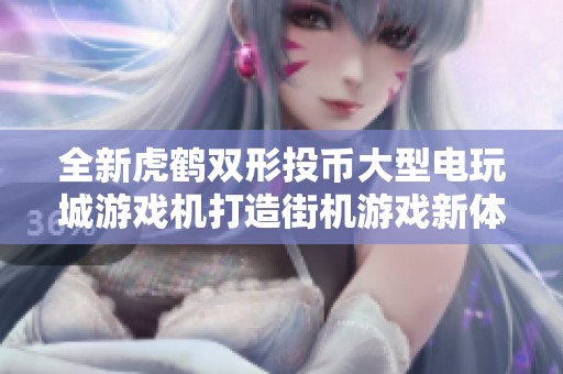 全新虎鹤双形投币大型电玩城游戏机打造街机游戏新体验