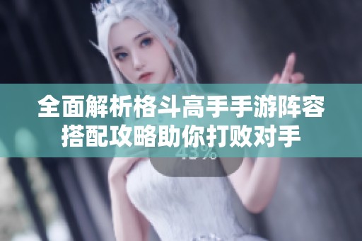 全面解析格斗高手手游阵容搭配攻略助你打败对手