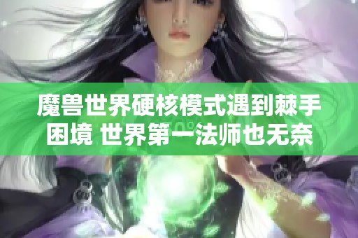 魔兽世界硬核模式遇到棘手困境 世界第一法师也无奈