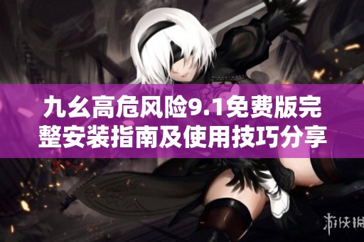 九幺高危风险9.1免费版完整安装指南及使用技巧分享