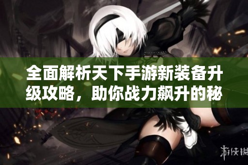全面解析天下手游新装备升级攻略，助你战力飙升的秘诀！