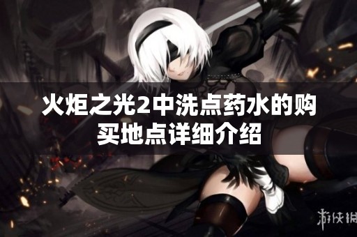 火炬之光2中洗点药水的购买地点详细介绍