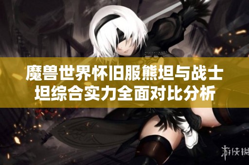 魔兽世界怀旧服熊坦与战士坦综合实力全面对比分析