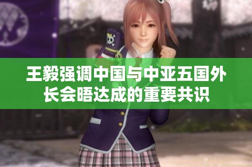 王毅强调中国与中亚五国外长会晤达成的重要共识
