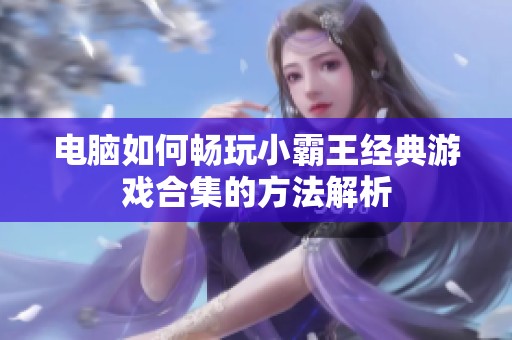 电脑如何畅玩小霸王经典游戏合集的方法解析