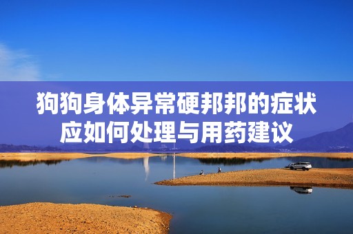 狗狗身体异常硬邦邦的症状应如何处理与用药建议