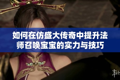 如何在仿盛大传奇中提升法师召唤宝宝的实力与技巧