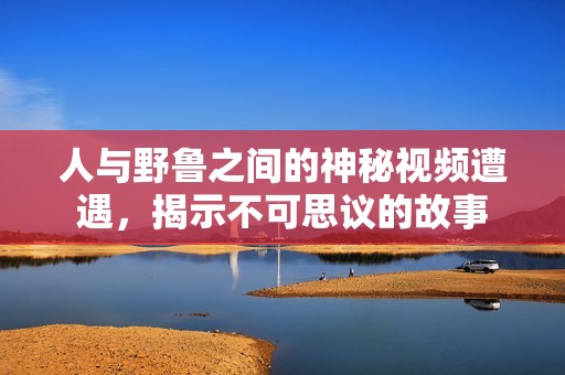 人与野鲁之间的神秘视频遭遇，揭示不可思议的故事