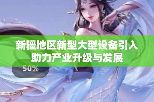 新疆地区新型大型设备引入助力产业升级与发展