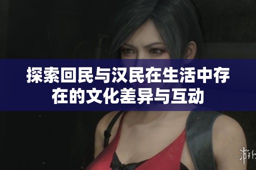 探索回民与汉民在生活中存在的文化差异与互动