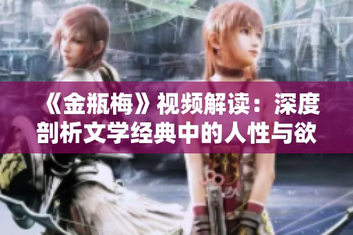 《金瓶梅》视频解读：深度剖析文学经典中的人性与欲望