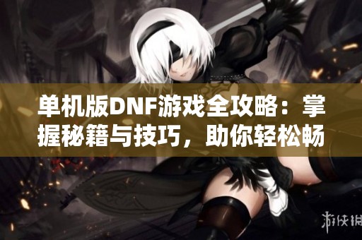 单机版DNF游戏全攻略：掌握秘籍与技巧，助你轻松畅玩通关