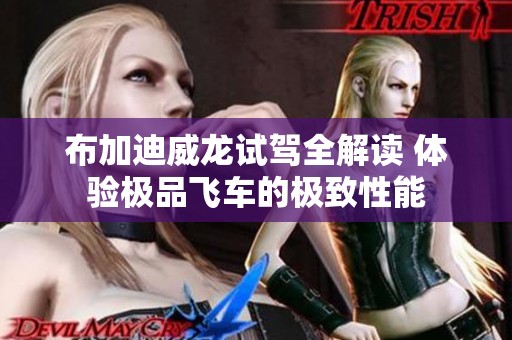布加迪威龙试驾全解读 体验极品飞车的极致性能