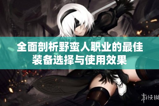 全面剖析野蛮人职业的最佳装备选择与使用效果