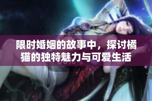 限时婚姻的故事中，探讨橘猫的独特魅力与可爱生活