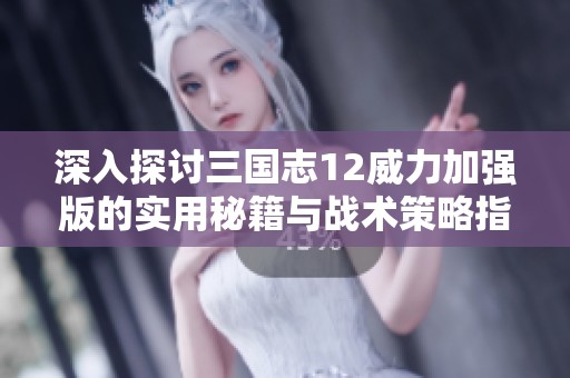 深入探讨三国志12威力加强版的实用秘籍与战术策略指南