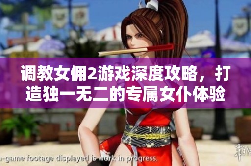 调教女佣2游戏深度攻略，打造独一无二的专属女仆体验