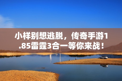 小样别想逃脱，传奇手游1.85雷霆3合一等你来战！