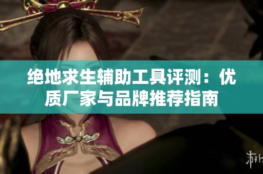 绝地求生辅助工具评测：优质厂家与品牌推荐指南