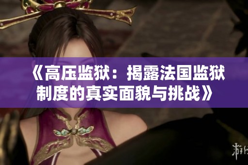《高压监狱：揭露法国监狱制度的真实面貌与挑战》