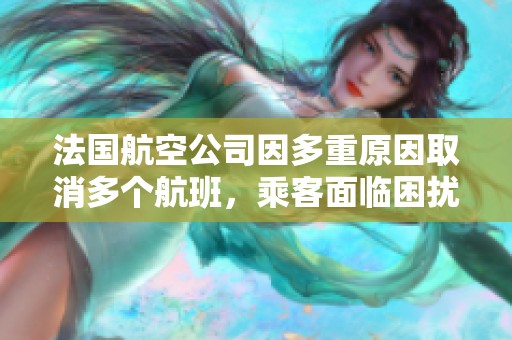 法国航空公司因多重原因取消多个航班，乘客面临困扰