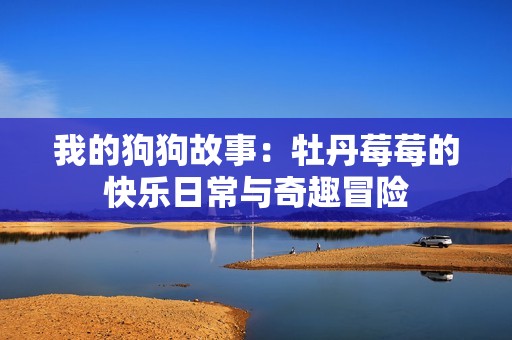我的狗狗故事：牡丹莓莓的快乐日常与奇趣冒险