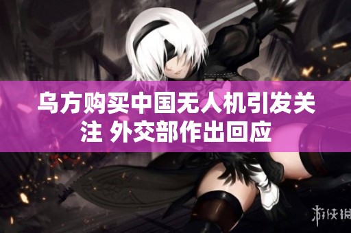 乌方购买中国无人机引发关注 外交部作出回应