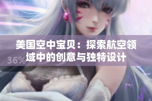 美国空中宝贝：探索航空领域中的创意与独特设计